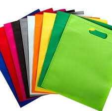 100 Pcs D-Cut Non Woven Bags